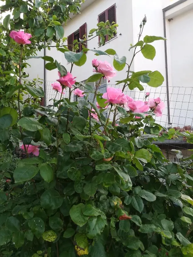 Πανσιόν Affitta Camere Casa Delle Rose Villanova Monteleone